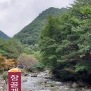 항골한우 이미지