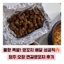 오창바로 | 불향 폭발! 청주 오창 맛집 연길양꼬치 후기