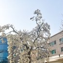 그저모이기 이미지