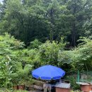 지장산 큰골 계곡 민박 네이버블로그