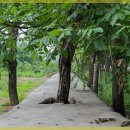 문화골프연습장 이미지