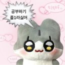 일상정