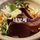 네일본도 | 도쿄 아카사카 맛집 추천 네보케 Neboke 일본 보니토 참치 일식 내돈내산 후기