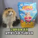 모래 | 고양이모래 추천, 초대형 고양이화장실 모래로 딱! 먼지 냄새 고민 슈퍼 카사바모래 후기