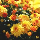 남구-152 이미지