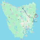 스완지 | 차: 비체노 여행, 비체노 맛집, Bicheno blowhole, Peggy's 카페, 브런치 추천, 스완지 Kate's Berry Farm