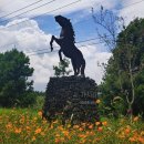 해림목장 이미지