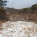 한반도면-10 이미지