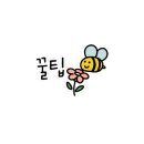 광품폭포(1) 이미지