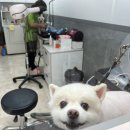 달리는커피 의정부고산점