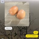 오송휘트니스 이미지