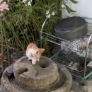 금오농업협동조합 진교지점 이미지