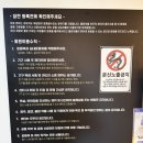 대전 내동 필라테스 필라핏헬스바디 괴정점 수강후기