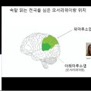 연상회 이미지