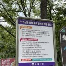 계곡 | 김해계곡추천 부산근교 계곡 김해 장척계곡 후기