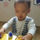 든솔 이미지