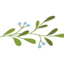 양지-2914 이미지