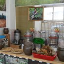 토종건강원 이미지