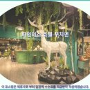 228약국 | 타이베이 파인더스 호텔-푸치엔 숙박 후기: 타이베이 여행 호텔 추천