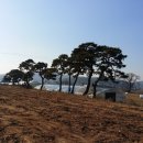 여주경기공인중개사사무소 이미지