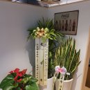 오쓰세이로무시 이미지