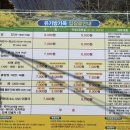 [서산 여행] 서산 수선화 축제 유기방가옥 방문 후기!