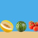 3일만에 몸속 독소 제거하고 -2kg 감량하는 여름 디톡스 비법 대공개!