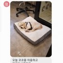 멍클린 이미지