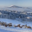 흔적으로의 여행 이미지