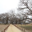 성주 성산관 이미지