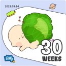 샬롬세탁소 | 30주. 샬롬 백달콤!