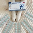 프로텍 앞 | 모두 콘드로프로텍 강아지 슬개골 영양제, 13살 강아지 슬개골 관리 케어 후기