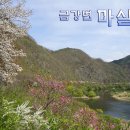봄꽃 찾아 떠난 충청도여행 3부... 금강변 마실길, 계룡산 신원사 이미지