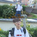 뮤지컬 <데스노트> 후기라 쓰고 성규 앓기🍎🍊