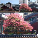 수산궁모텔 | 경북안동 댕기머리미용실 선권아이롱펌 스터디/수산궁모텔 특실/안기점 신대구막창/동아숯불갈비 후기