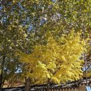 동산여관 | [경복궁/서촌] 아키비스트 서촌점 (청와대 가는 길 골목 남몰래 숨겨진 아늑한 카페)