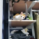 미야옷장 이미지