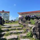 새빌 | 제주 새별오름 부근 애월 대형 베이커리 카페 새빌 카페 후기