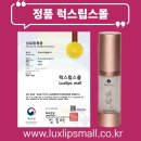 수럭스 이미지