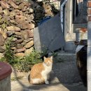 곤양참기름.곤양떡집