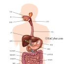 백운헬스 이미지