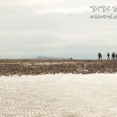 안면도 꽃지 할미 할아비 바위 네이버블로그