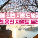 옹진농협 자월지점 이미지