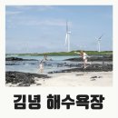 김녕해수욕장 티스토리