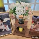 타임투반려동물 장례식장 이미지