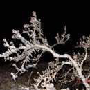 지암보건진료소 | 백두대간 성삼재에서 여원재구간