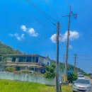 새보성식당 이미지