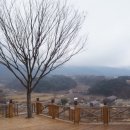 홍차가게안단테 이미지