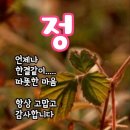 11월 17일(끝말잇기) 올려봄니다요 이미지