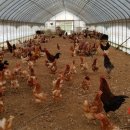 좋은농장 이미지